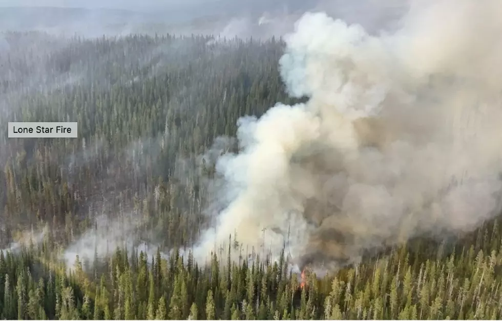 Lone Star Fire in Yellowstone Stays at 960 Acres; Roads Open, Some Trails Closed