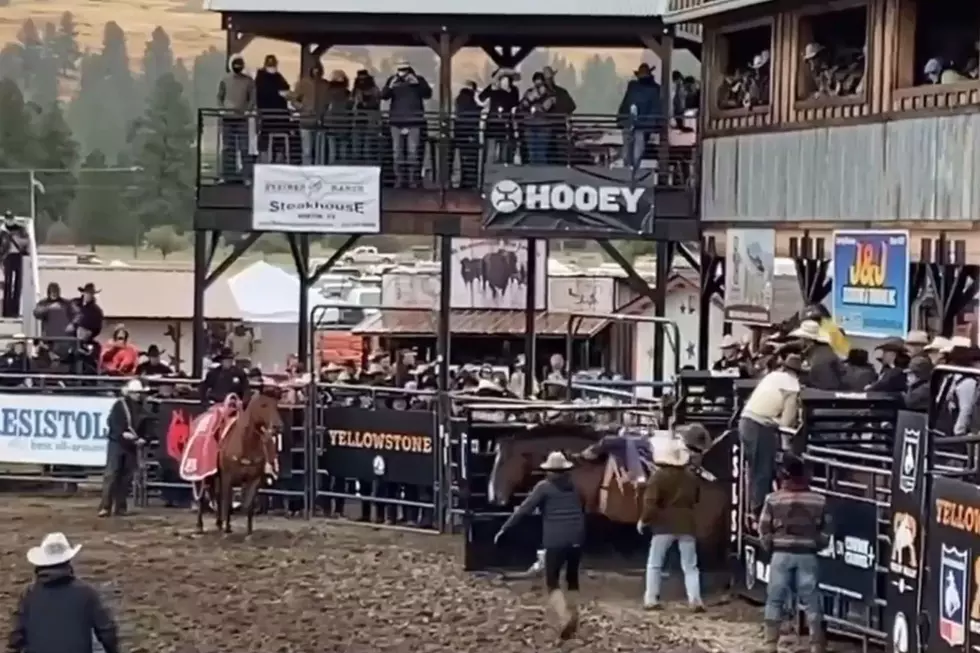 Kaycee's Cole Reiner Making a Charge to the NFR [VIDEO]