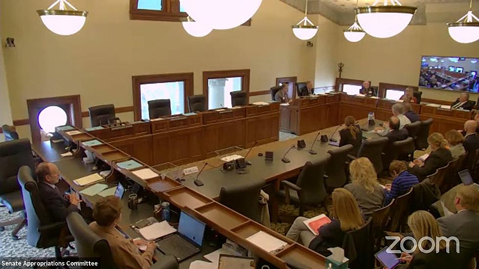 Wyoming Senate Appropriations Committee Discusses Anti Mandate Bills