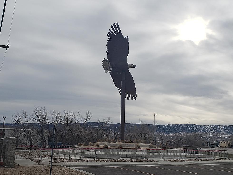 High Winds Puts Mills Eagle in Danger of Losing Feathers
