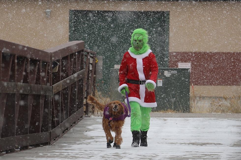 Casper Police: The Grinch Attempting to Steal Community Christmas Tree on Saturday