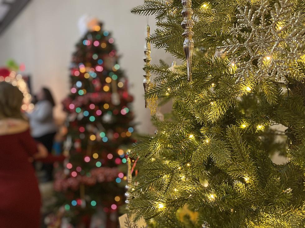 PHOTOS: 33rd Annual Festival of Trees Benefits Special Olympics Wyoming