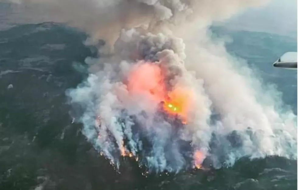 Sugarloaf Fire Burns Nearly 400 Acres in Medicine Bow National Forest