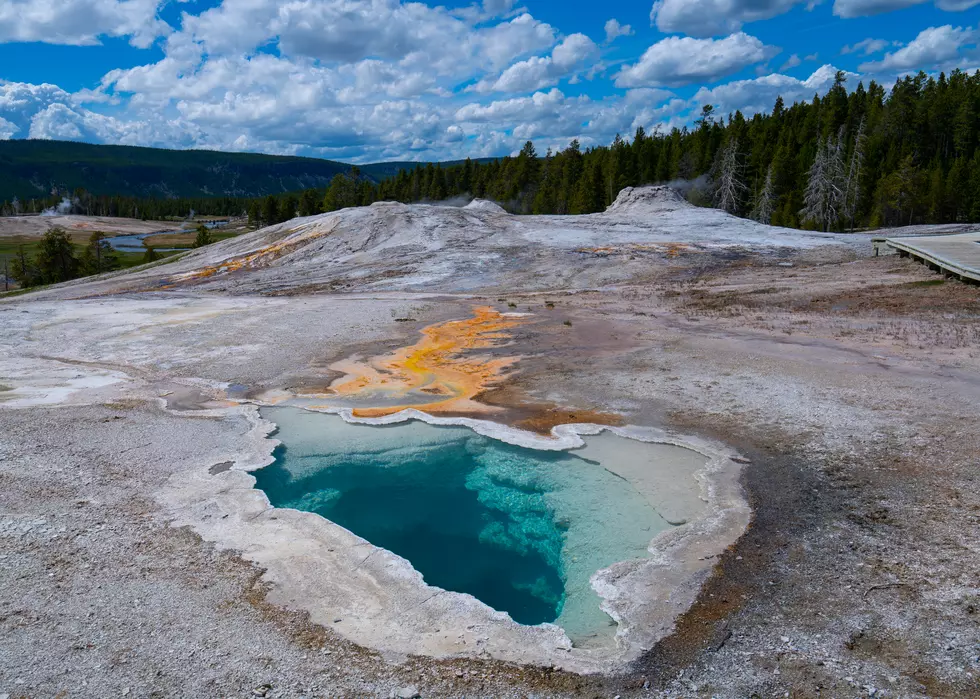 Human Foot, Still Wearing Shoe, Found in Yellowstone National Park Hot Spring