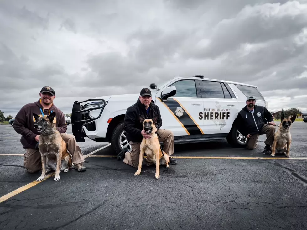 Sweetwater County Sheriff's Office Hosts 3rd Annual K9 Training