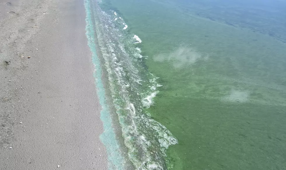 Casper Closes Lake McKenzie After Cyanobacteria Blooms Confirmed