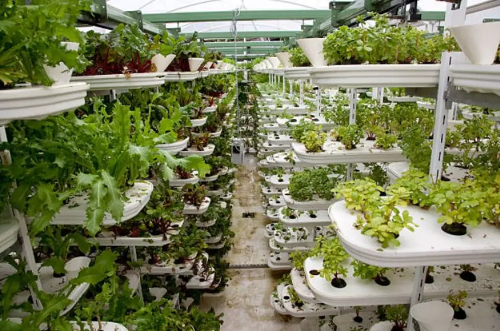 Wyoming Business Council Grants $20M for World’s Largest Vertical Farming, Research Center