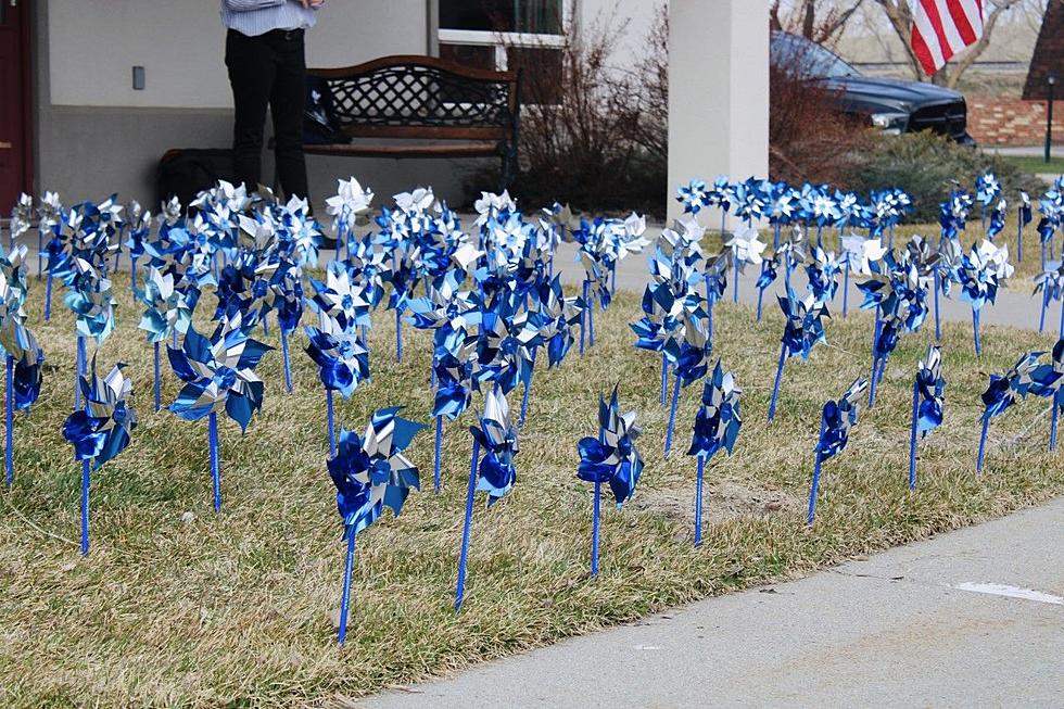 Children's Advocacy Project Plants Pinwheels for Victims of Abuse