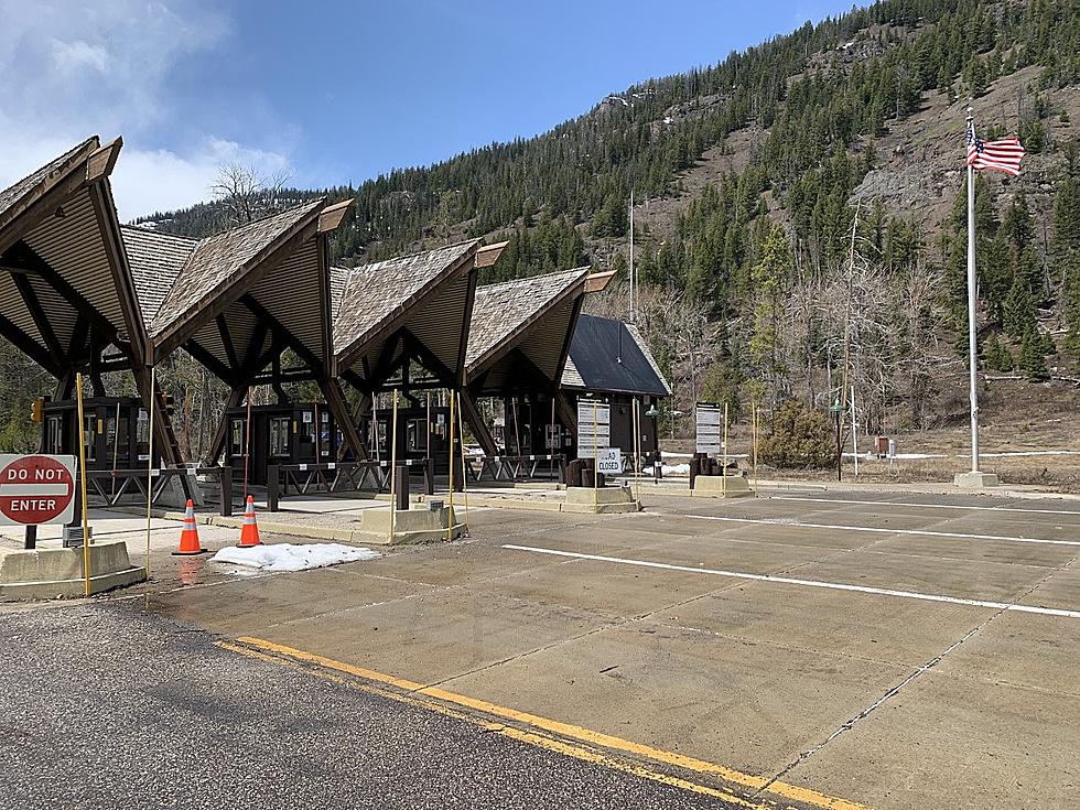 Yellowstone East Entrance Set to Open Friday, Weather Permitting
