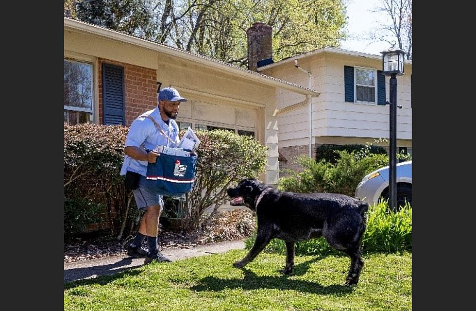 U.S. Postal Service Says More than 5,300 Mail Carriers were Attacked by Dogs in Wyoming Last Year