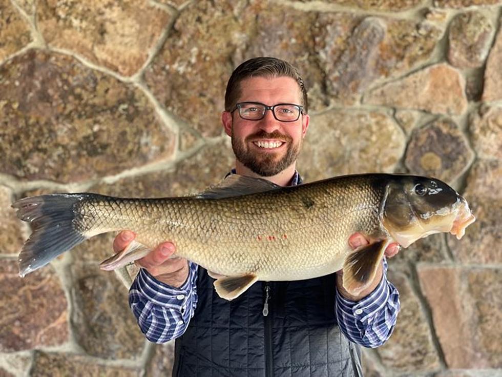 Wyoming Longnose Sucker Record Broken for the Third Year in a Row