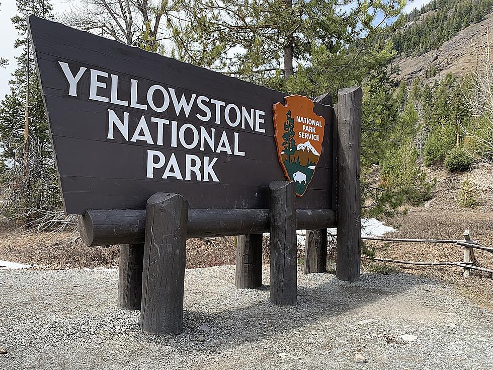 Yellowstone National Park Confirms First 2023 Wildland Fire