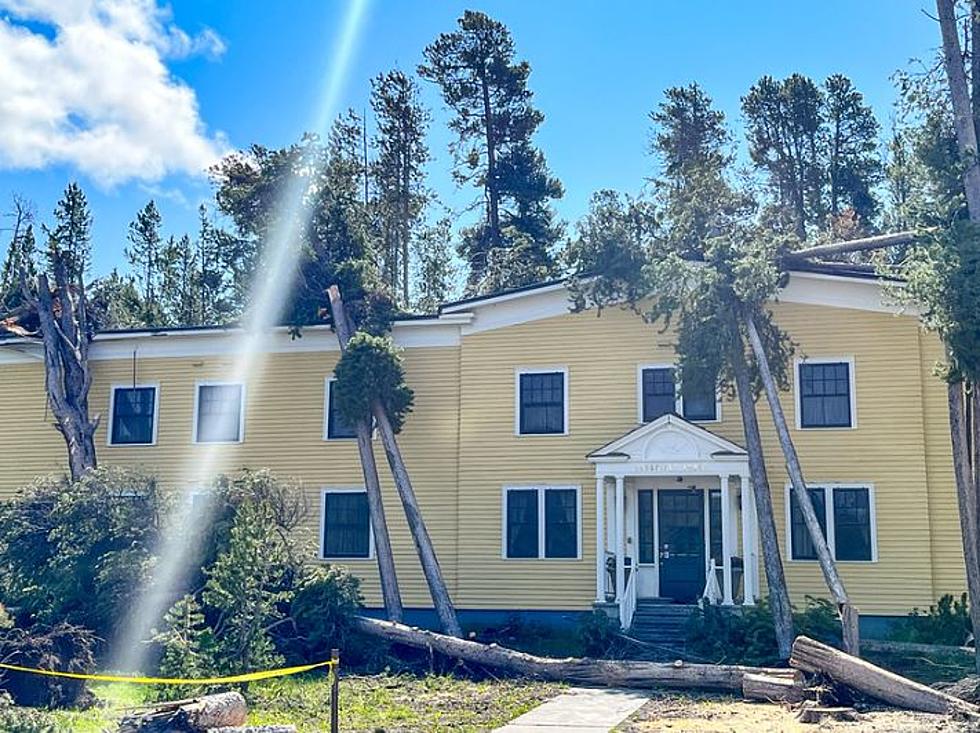 Major Thunderstorm in Yellowstone Blows Hundreds of Trees Down, Multiple Buildings and Vehicles Struck