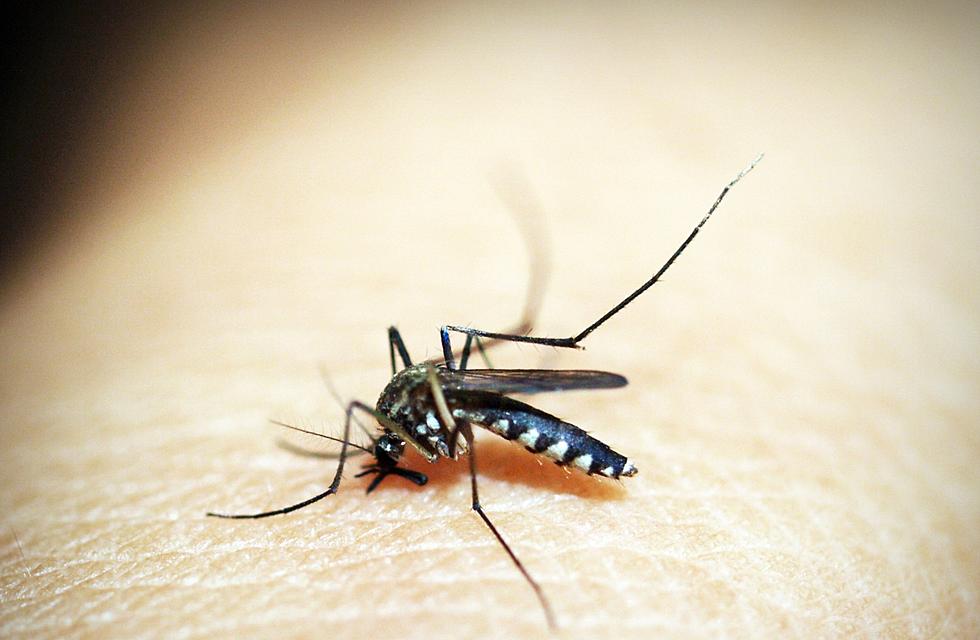 Increased West Nile Virus Cases, Including Death, Confirmed
