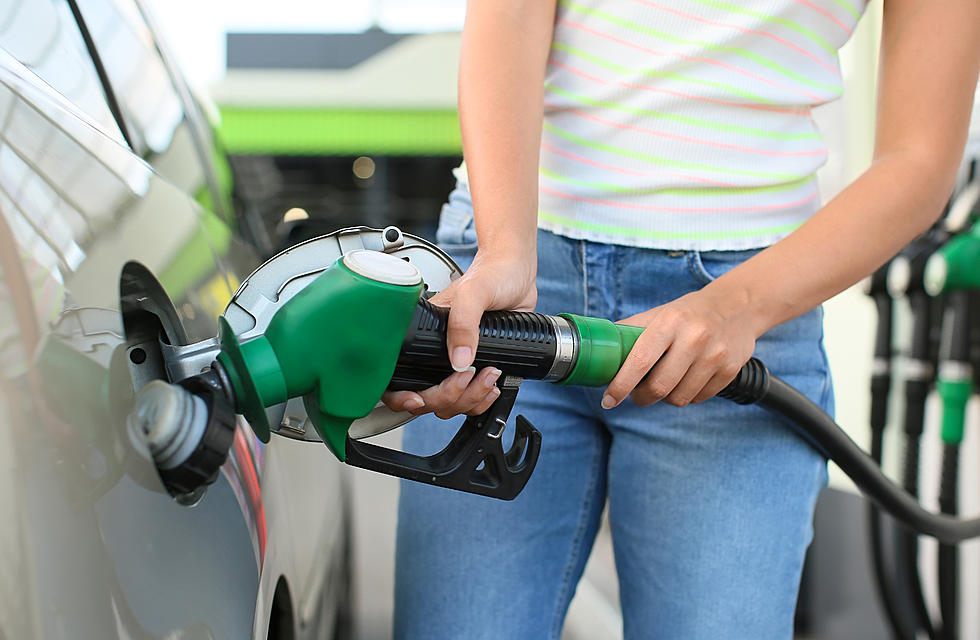 ‘Lower gas prices are on the way for every U.S. state in the weeks ahead’ says Petroleum Analyst Patrick DeHaan