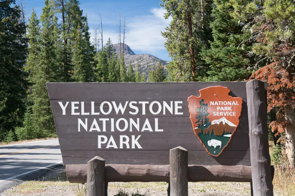 Yellowstone National Park Roads Open to the Public April 19