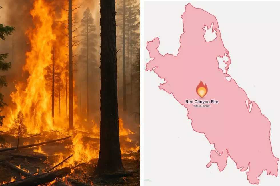 Red Canyon Fire East of Thermopolis Has Grown to 50,000 Acres, Evacuations in Place