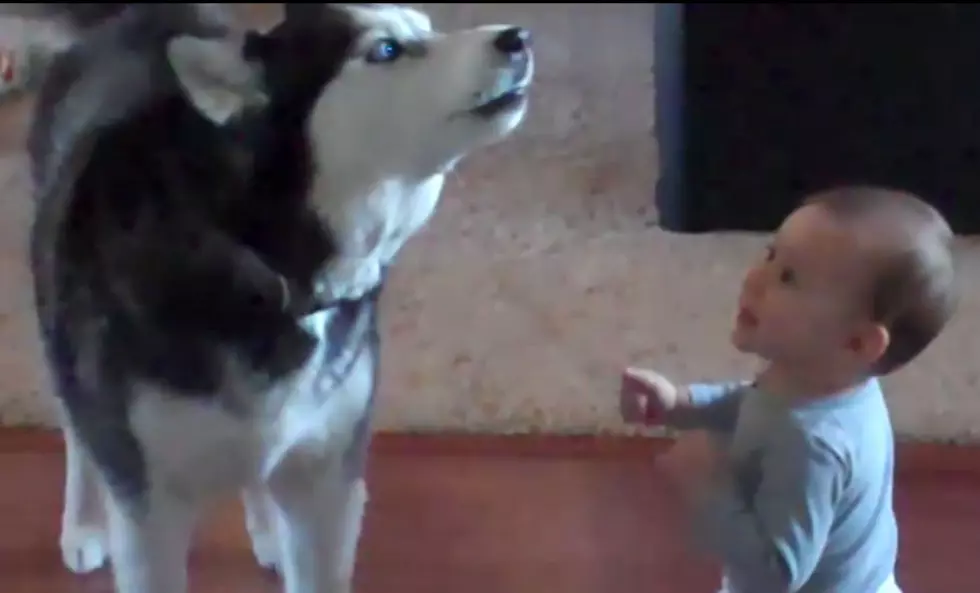 Baby And Dog Perform Duet Together – EXTREMELY CUTE [VIDEO]