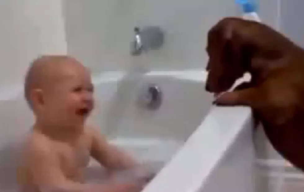 Laughing Baby And Dog Will Make Your Day [VIDEO]