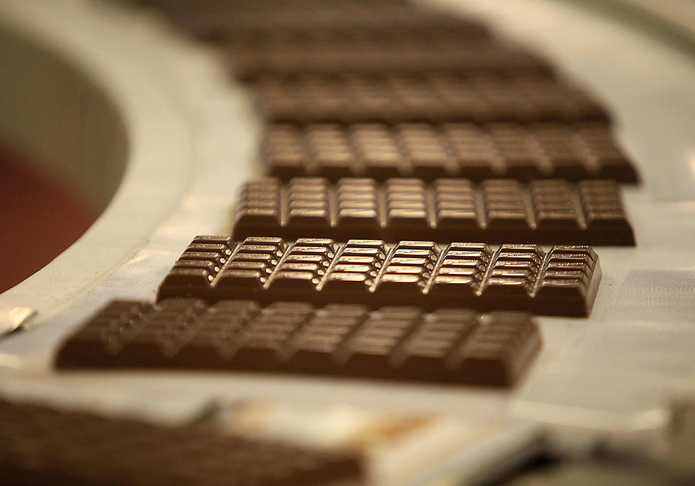 Average Chocolate Bar Contains Eight Insect Bits [VIDEO]