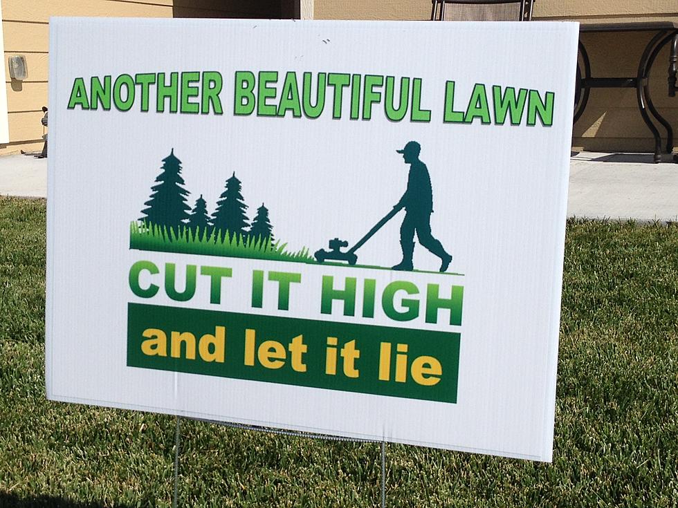 Mulch Mow for a Healthier Lawn [VIDEO]