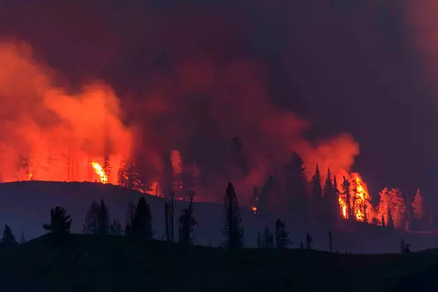 How Big Were Wyoming&#8217;s Worst Wildfires?