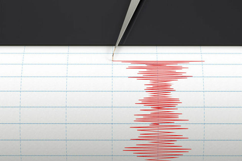 USGS Reports Magnitude-6.4 Earthquake in Western Nevada