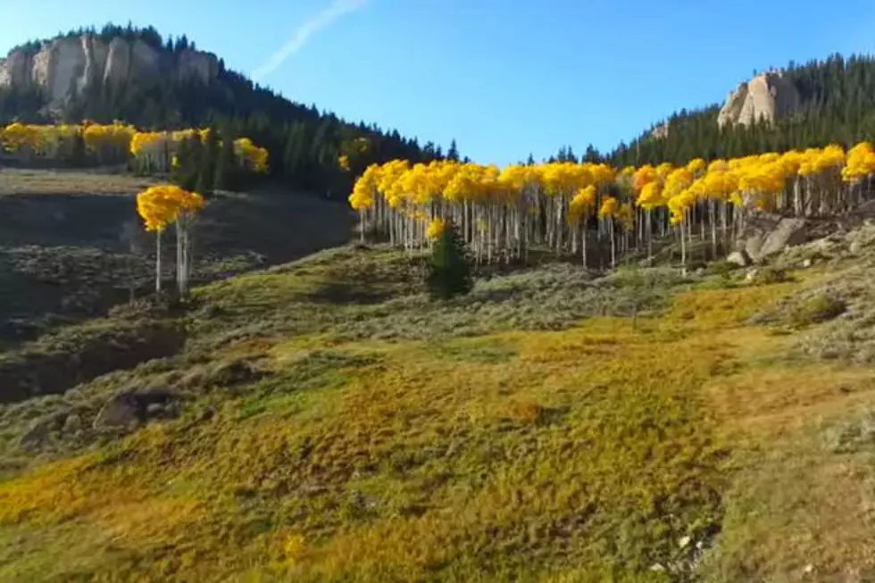 Watch Breathtaking Footage of Four Seasons in Wyoming [VIDEO]