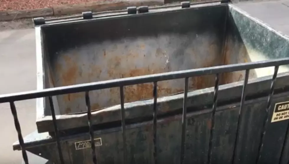Why You Should Keep Your Garbage Closed in Wyoming [VIDEO]