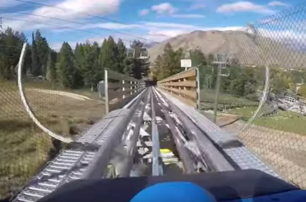 Wyoming’s Cowboy Coaster Offers Year Round Alpine Fun! [VIDEO]