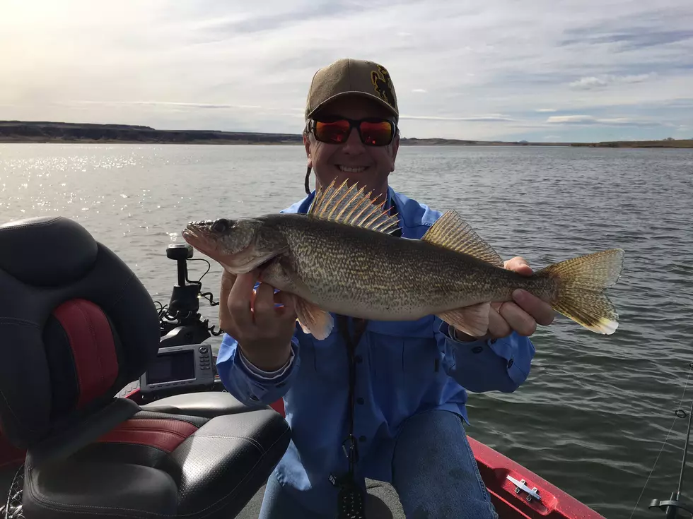Spring Fishing Means Walleye Are Biting in Wyoming [POLL]