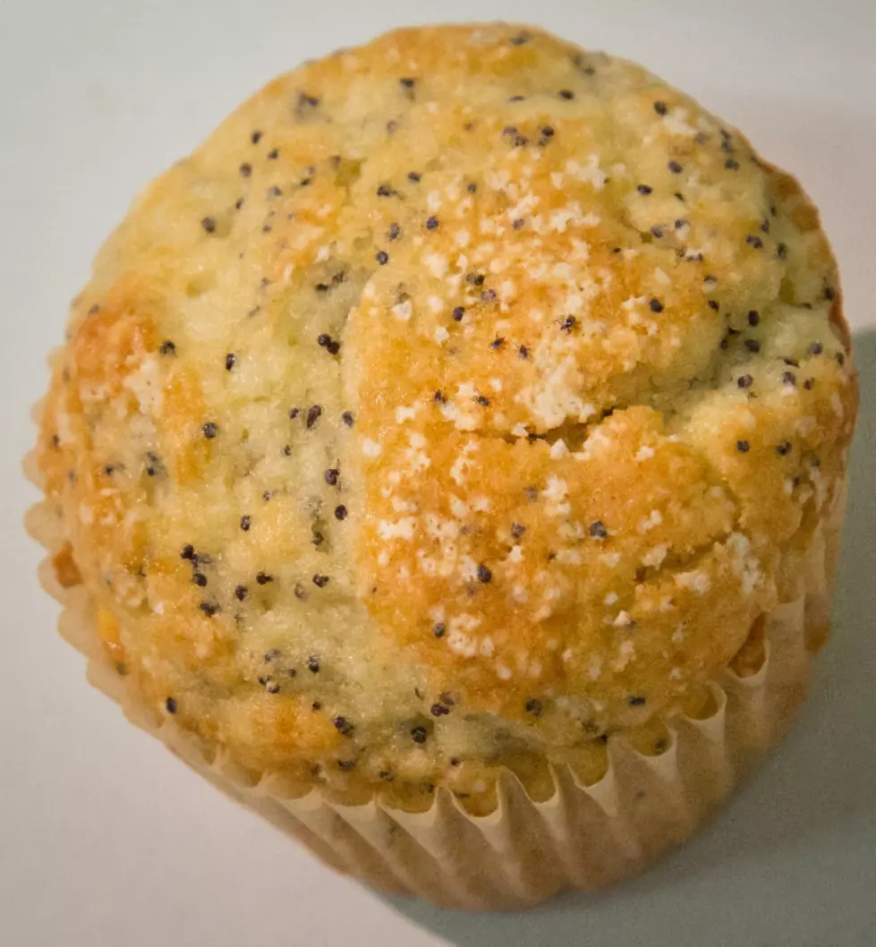 How Many Ticks Do You See On This Muffin? [PHOTO, VIDEO]