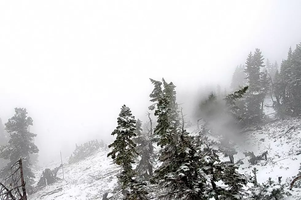 Old Man Winter Brings Summer Snow to Wyoming [PHOTO]