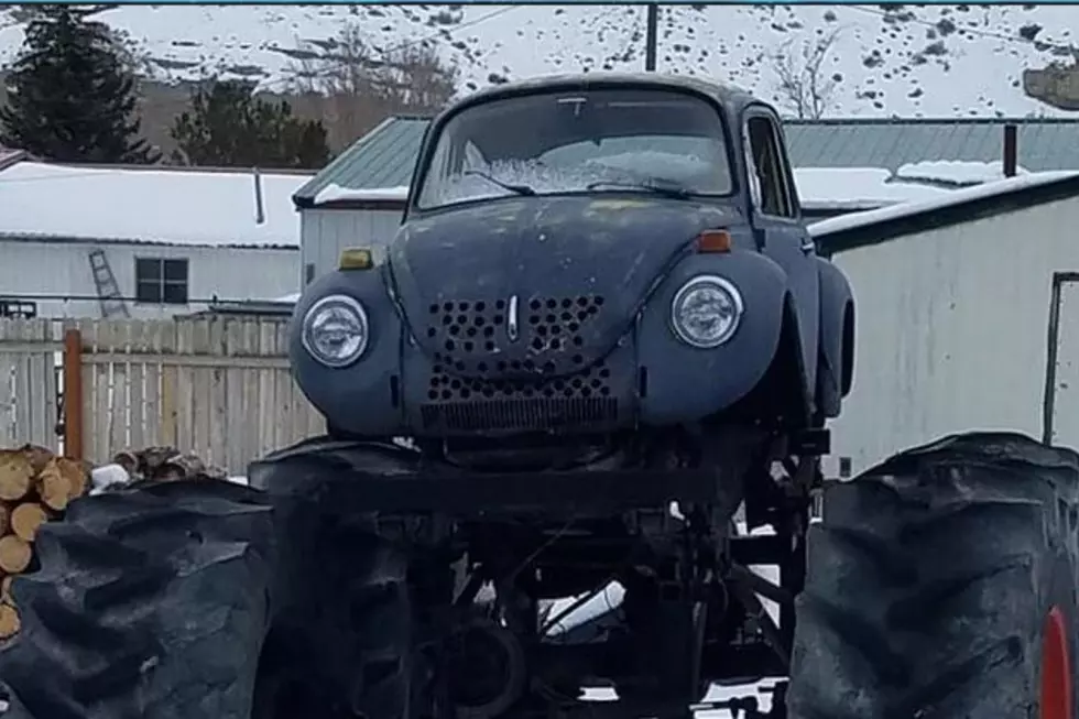 This Volkswagen Bug Could Stomp Any Wyoming Snow Drift