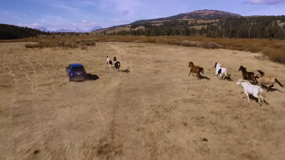What Happens When a Rolls Royce Races Wyoming's Wild Horses