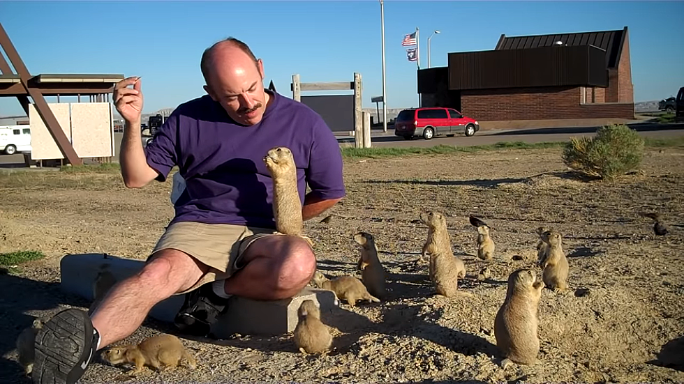 Guy Feeds Potato Chips to Wyoming Prairie Dogs, Regrets It