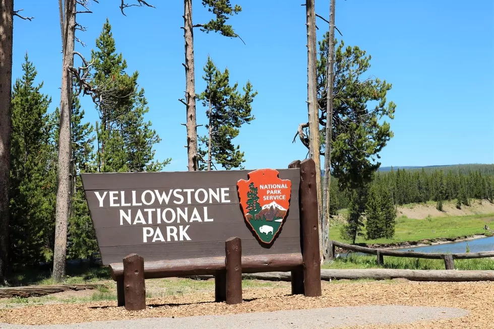 Going to Yellowstone This Weekend? Might Want to Take Skis