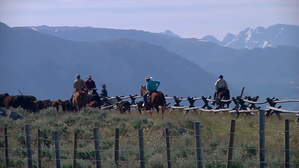 New Movie Promotes Wyoming’s Green River Drift Cattle Drive