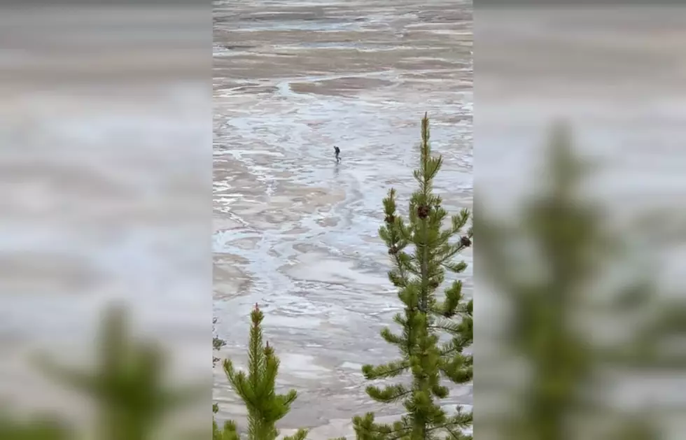Hero Yellowstone Tourist Reports Idiot Walking on Grand Prismatic