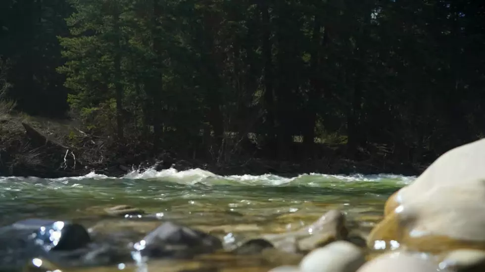 Relax to the Sounds of This Wyoming River on a Sunny Day