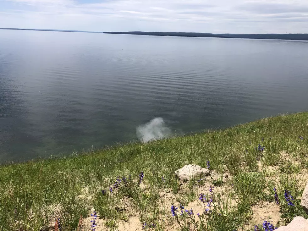 Watch Video of a Steam Vent IN Yellowstone Lake