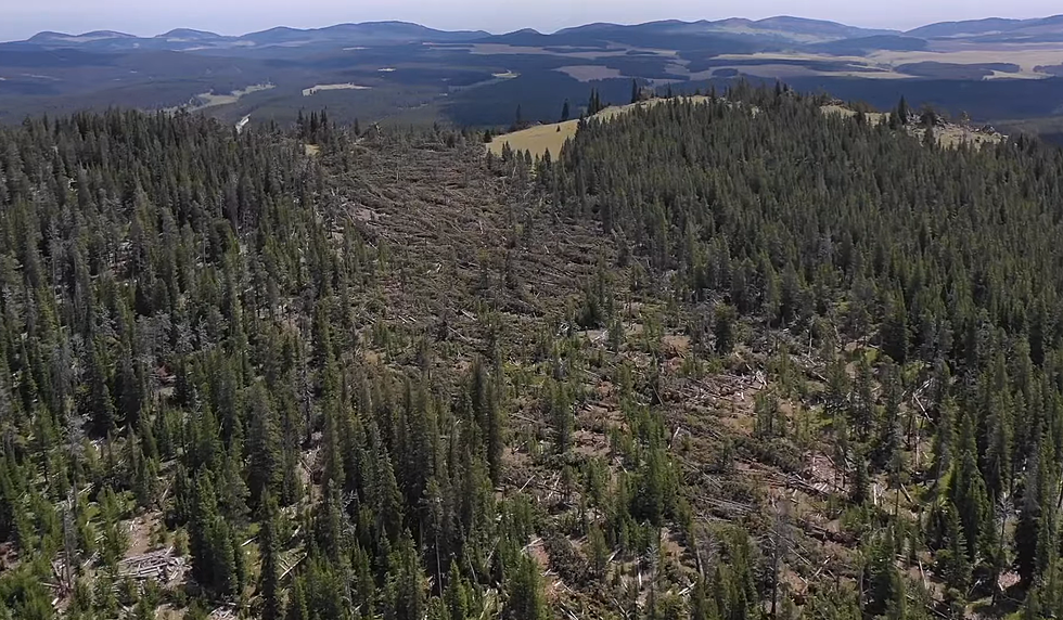 Check Out the Damage a Tornado Did to Wyoming’s Powder River Pass