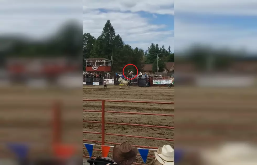 Rodeo Clown Gets Flipped By Bull, Lands On His Feet, Poses Proud