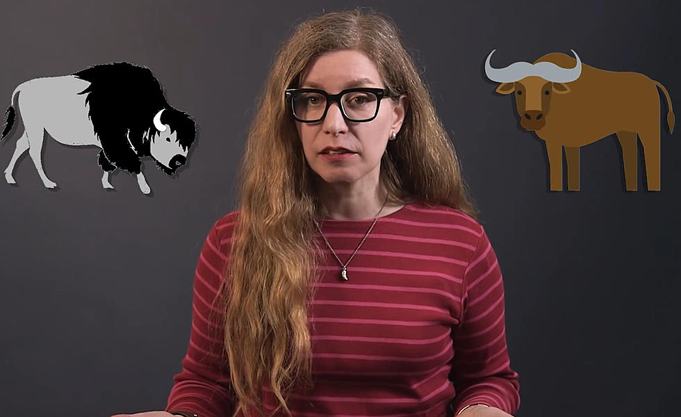 Yes Virginia, There IS a Difference Between Buffalo and Bison