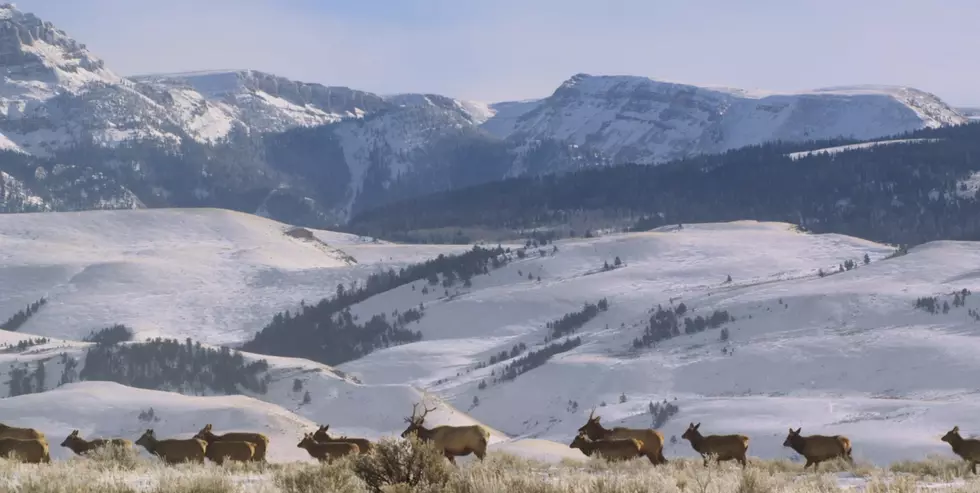 Gorgeous New Video Shows The Beauty of Wyoming Changing to Winter
