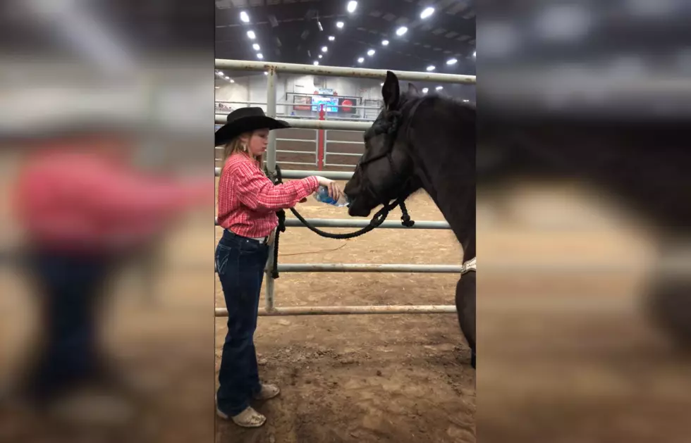 Cowgirl Bravely Shares Water Bottle with Her Horse for Luck