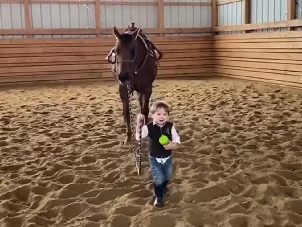 Watch: This Little Wyoming Cowboy And His Horse Are So Darn Cute