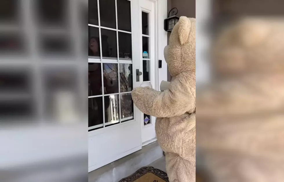 Utah Teen Surprising Neighbors with Toilet Paper Dressed as Bear