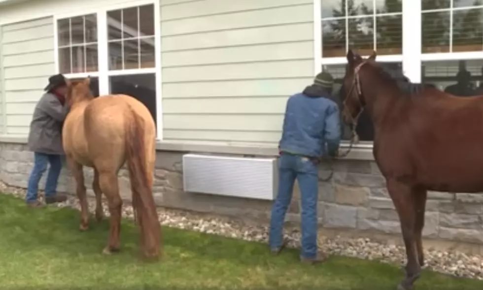 Watch Cowboys and Their Horses Cheer Up Elderly Residents