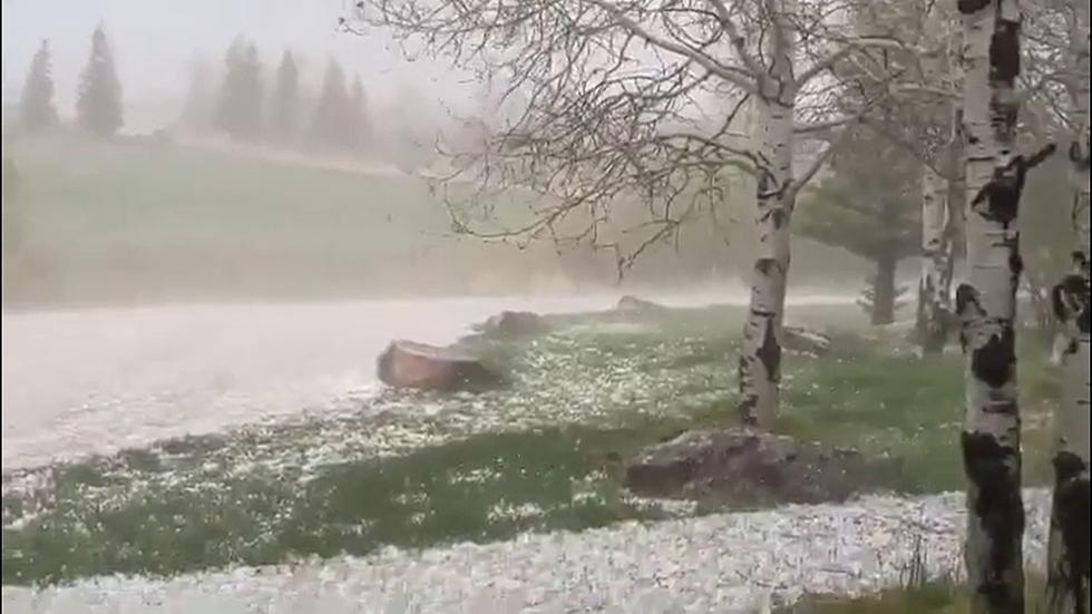 Video Shows Half-Dollar Sized Hail that Hit Near Douglas